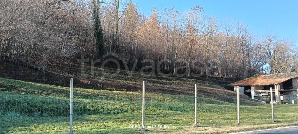 immagine annuncio 4 di 8