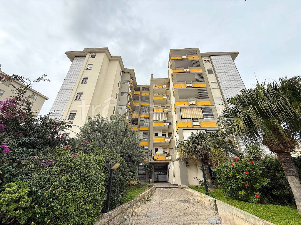 immagine annuncio 5 di 6