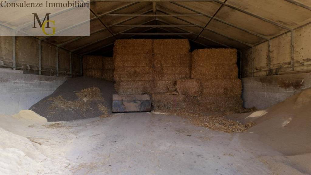 immagine annuncio 4 di 14