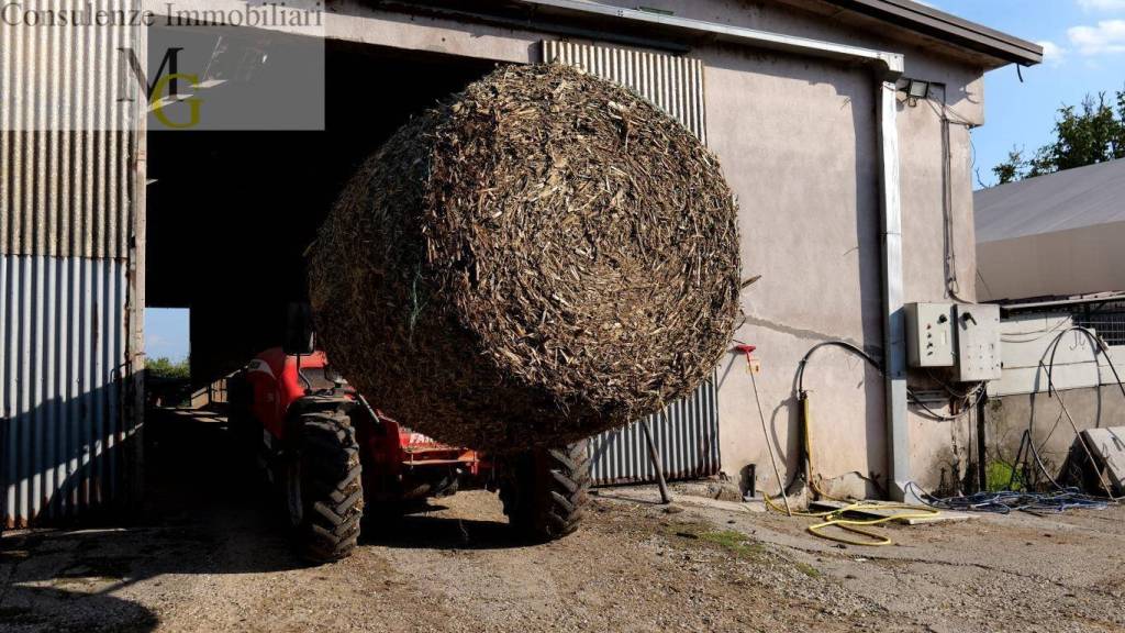 immagine annuncio 9 di 14