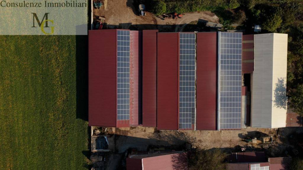 immagine annuncio 12 di 14