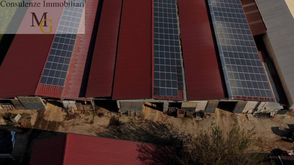 immagine annuncio 13 di 14