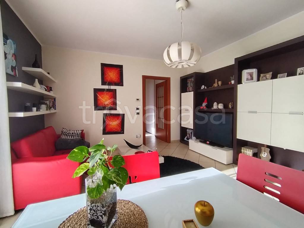 immagine annuncio 2 di 14