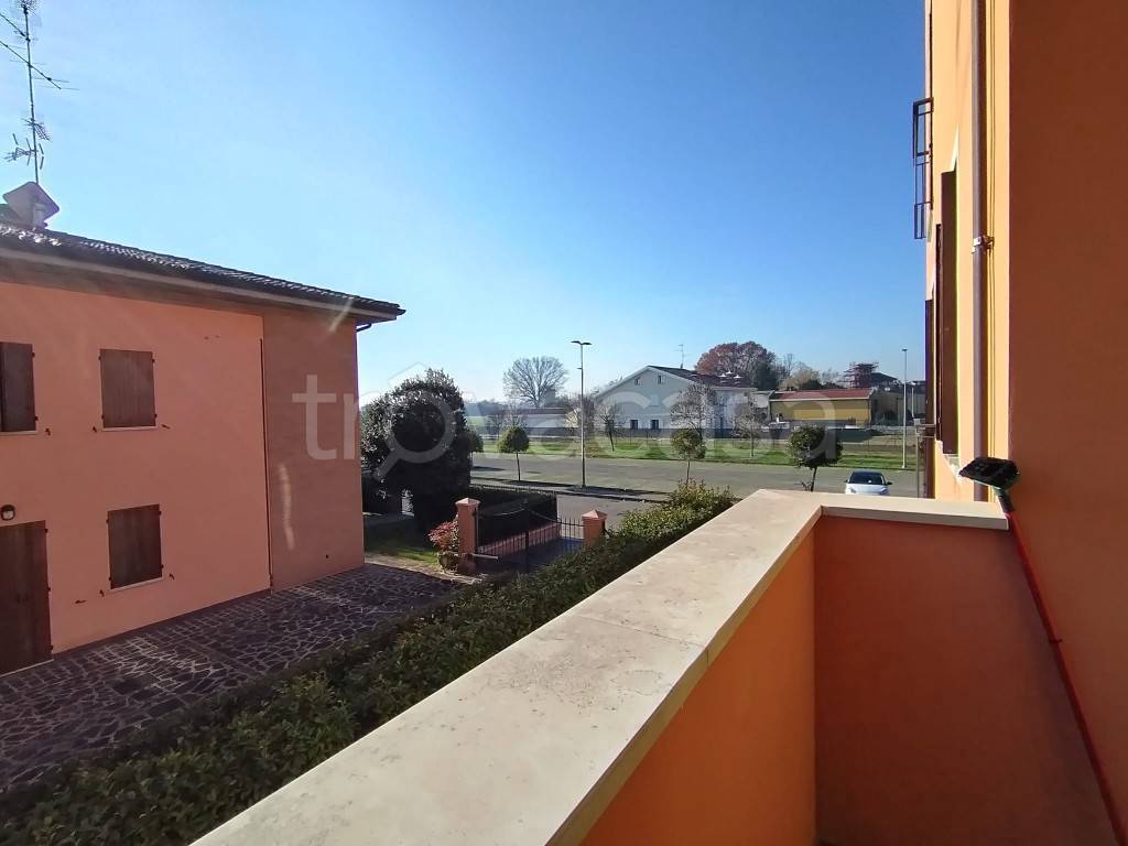 immagine annuncio 6 di 14