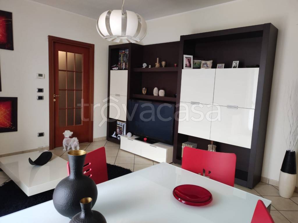 immagine annuncio 10 di 14