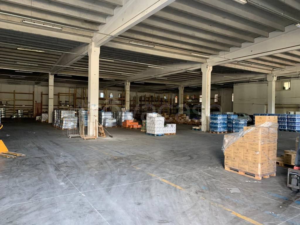 immagine annuncio 5 di 12