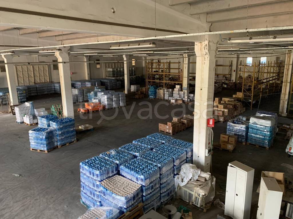 immagine annuncio 6 di 12