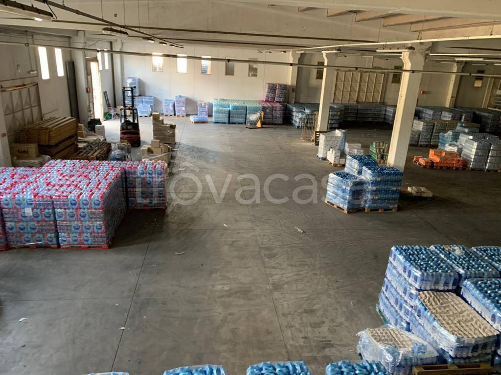 immagine annuncio 7 di 12