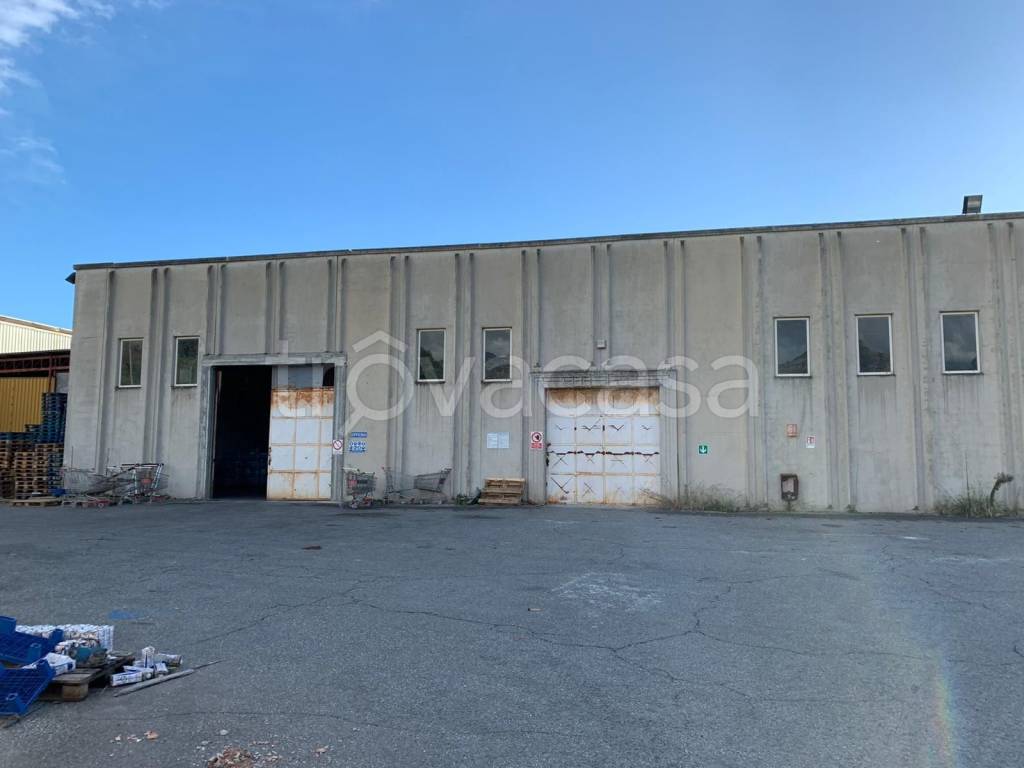 immagine annuncio 8 di 12