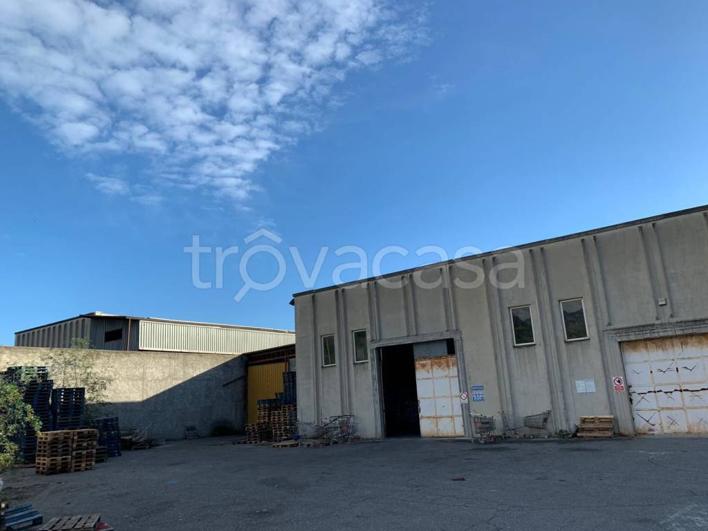 immagine annuncio 9 di 12