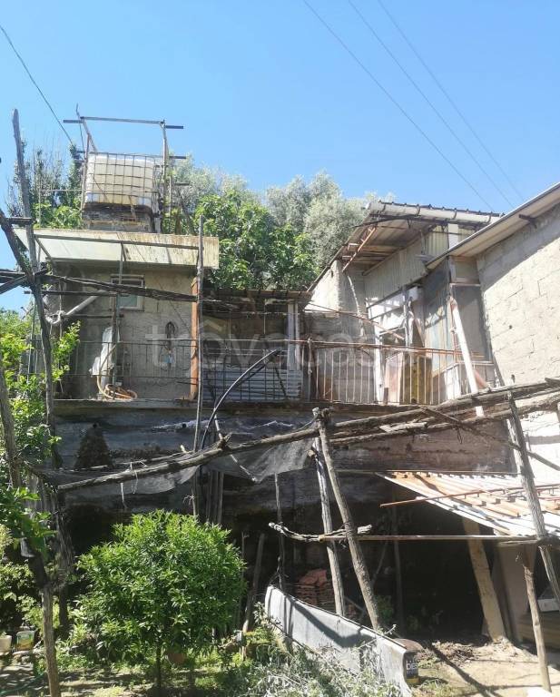 immagine annuncio 4 di 12