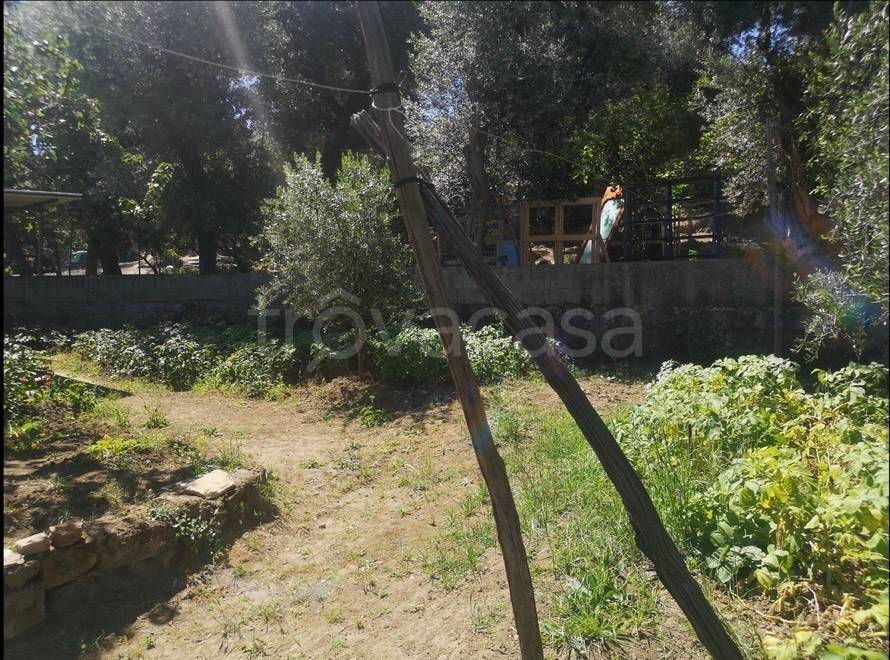 immagine annuncio 8 di 12