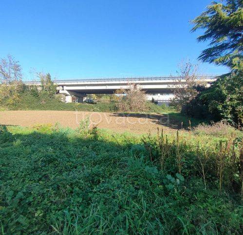 immagine annuncio 4 di 14