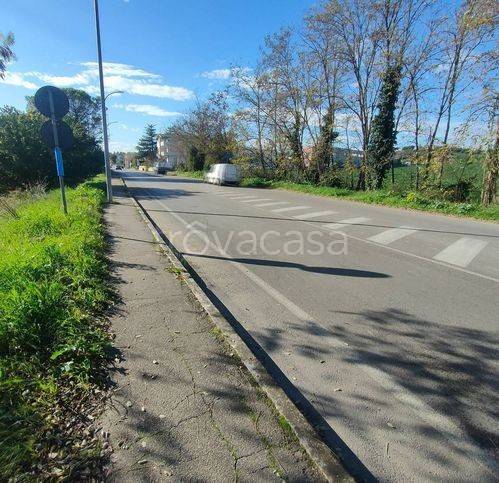 immagine annuncio 5 di 14