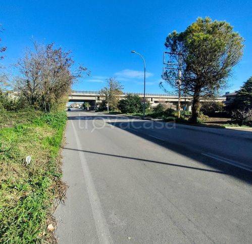 immagine annuncio 8 di 14