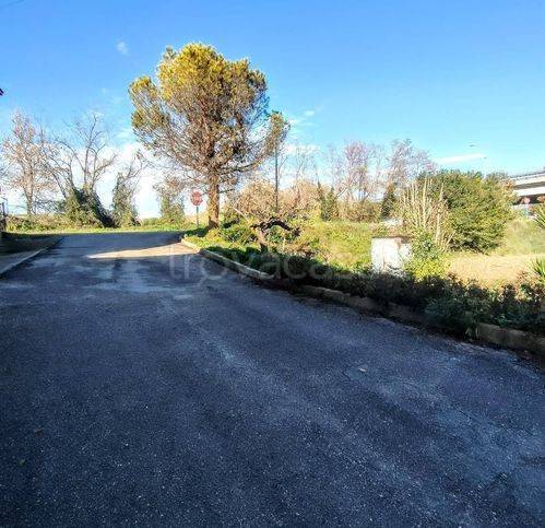 immagine annuncio 10 di 14