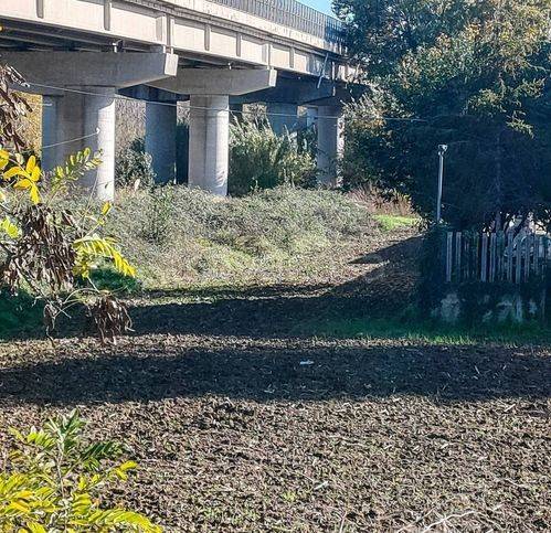 immagine annuncio 11 di 14