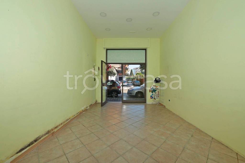 immagine annuncio 3 di 7