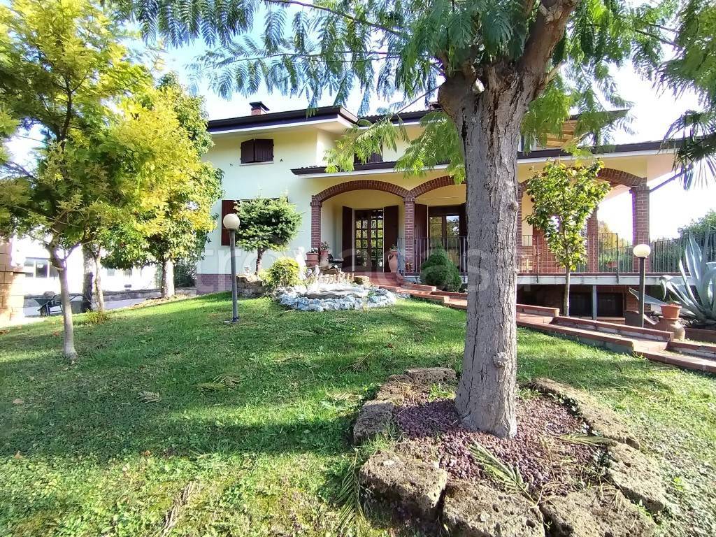 immagine annuncio 3 di 14