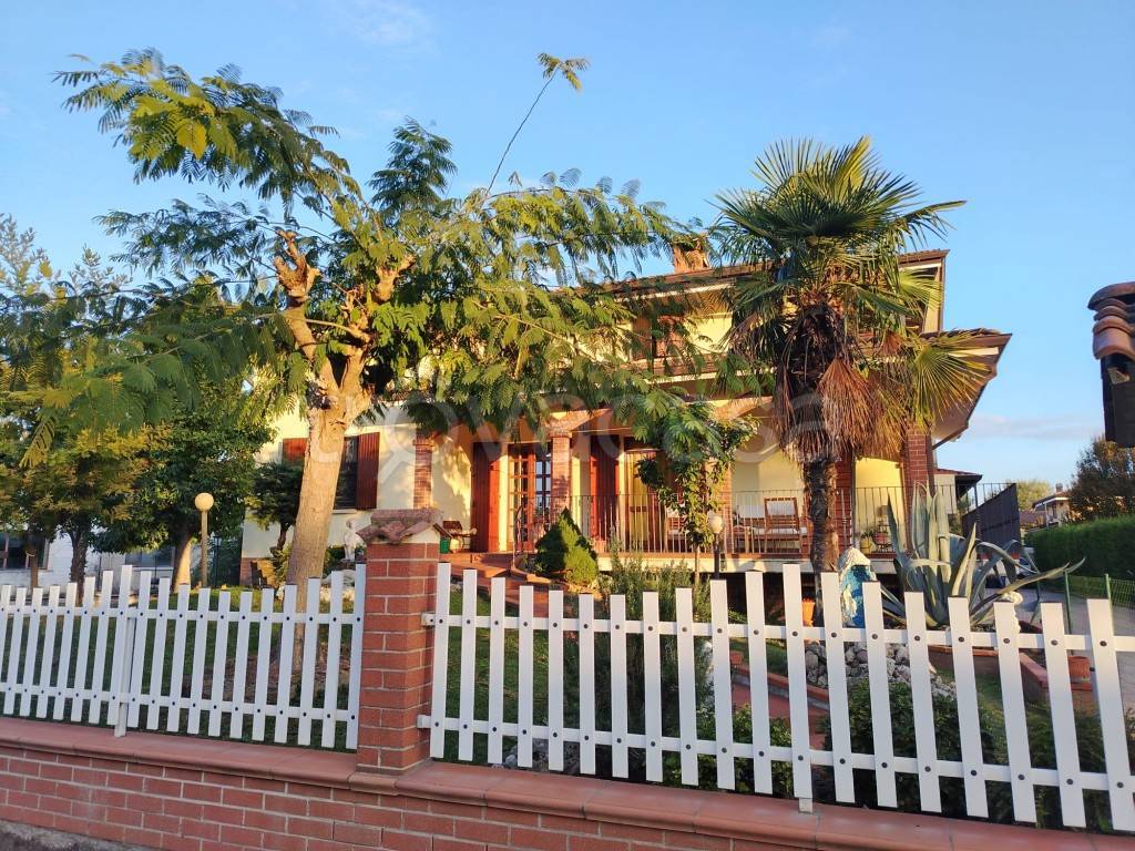 immagine annuncio 5 di 14