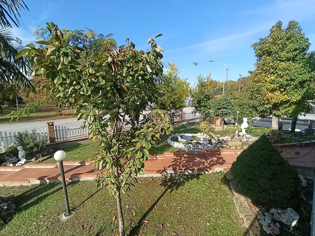 immagine annuncio 10 di 14