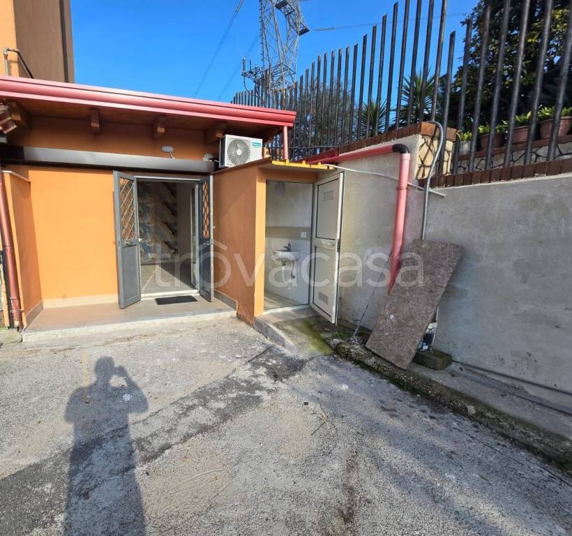 immagine annuncio 1 di 12