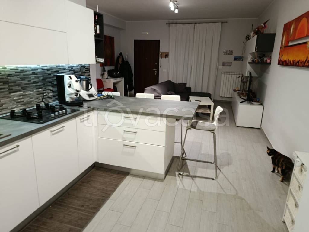 immagine annuncio 6 di 15