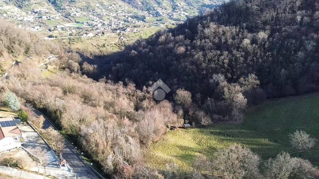 immagine annuncio 3 di 6