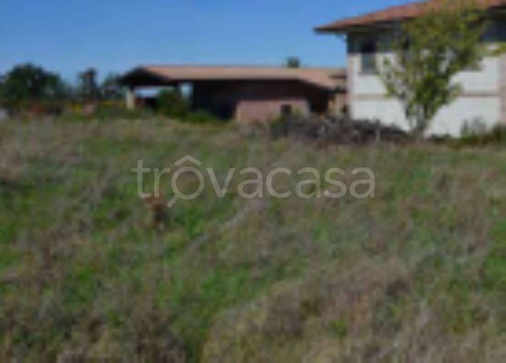 immagine annuncio 6 di 11