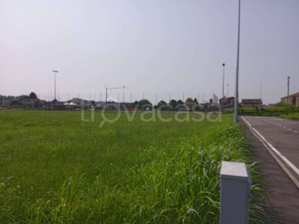 immagine annuncio 9 di 14