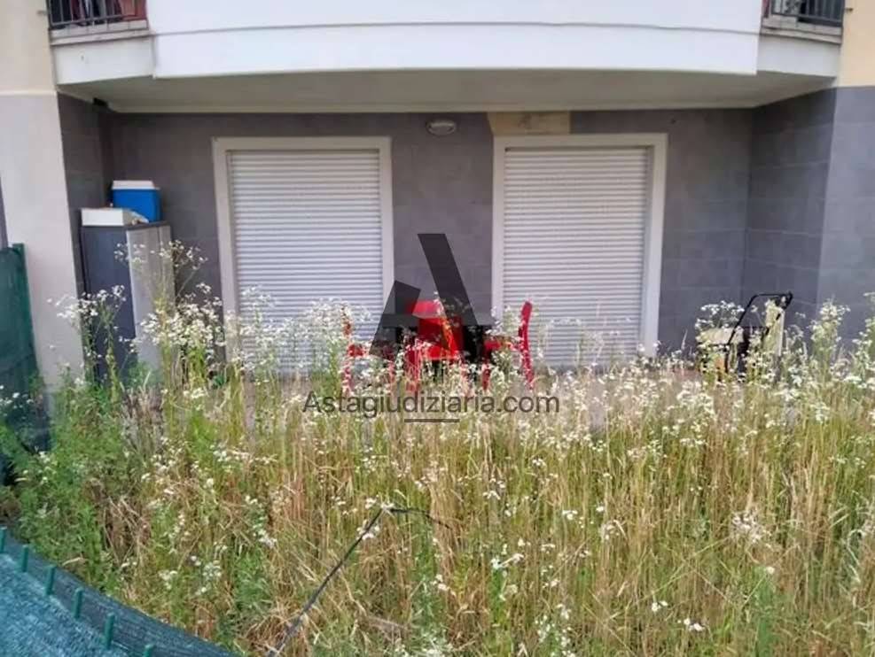 immagine annuncio 6 di 14