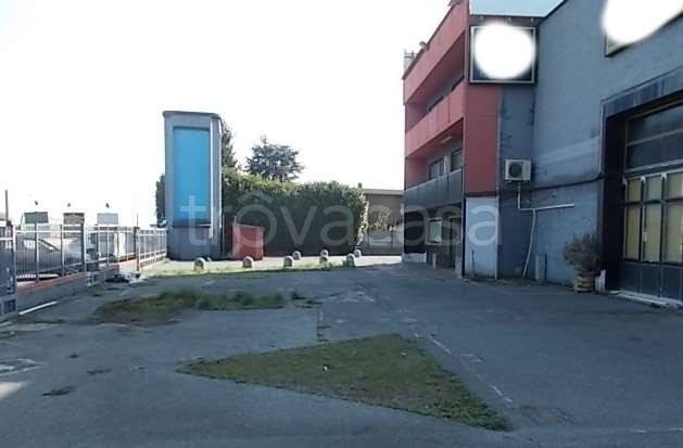 immagine annuncio 5 di 15