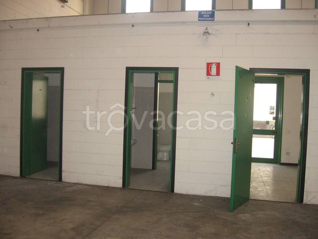 immagine annuncio 5 di 11