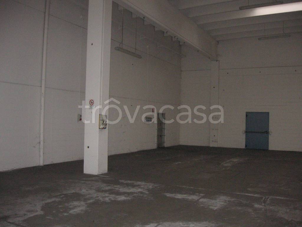 immagine annuncio 7 di 11