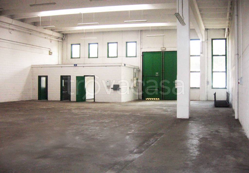 immagine annuncio 8 di 11