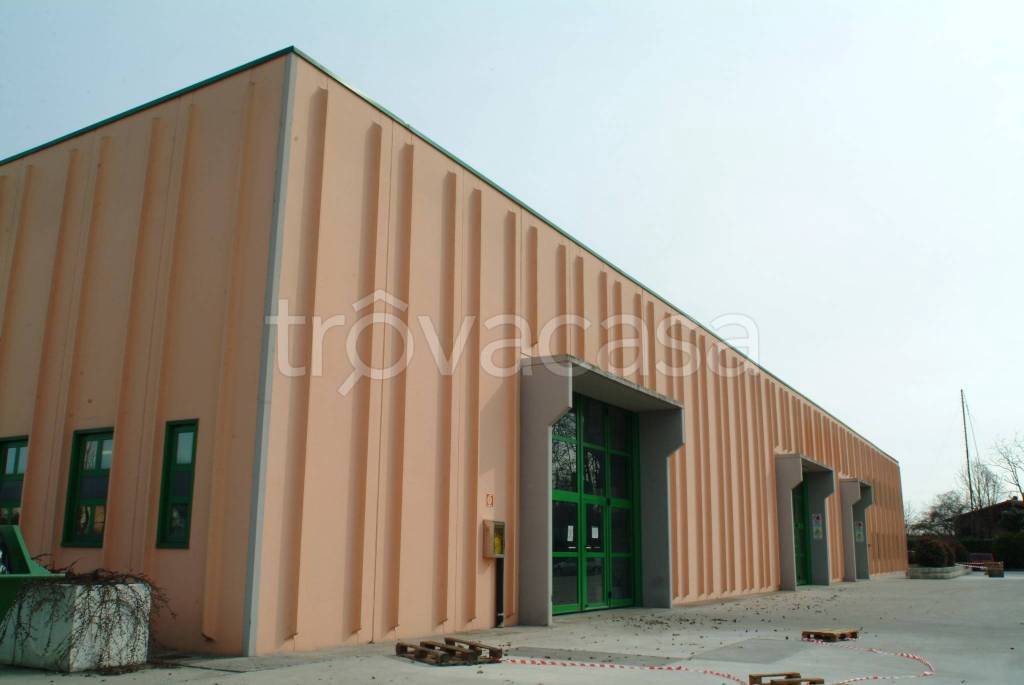 immagine annuncio 9 di 11