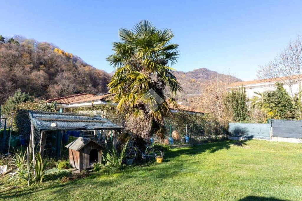 immagine annuncio 3 di 8