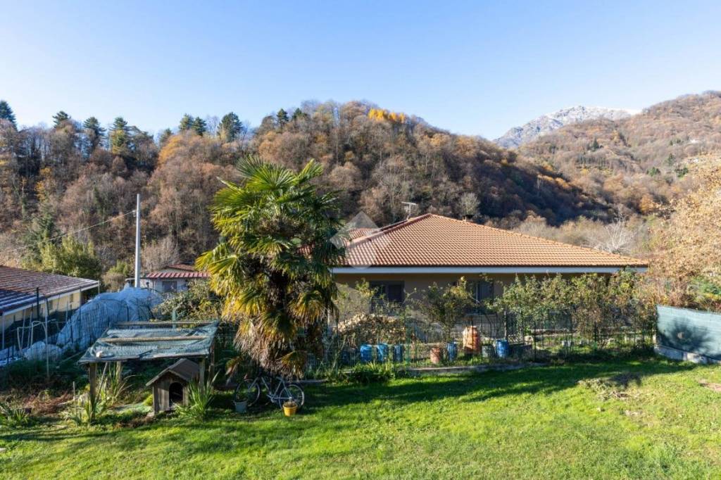 immagine annuncio 5 di 8