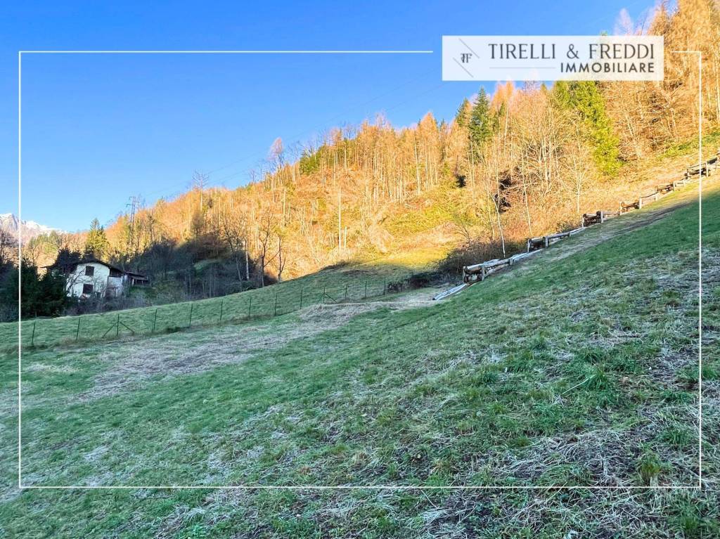 immagine annuncio 3 di 11