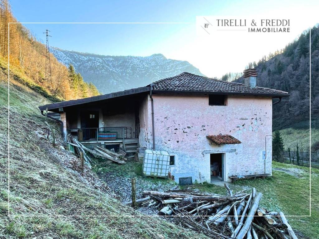 immagine annuncio 5 di 11