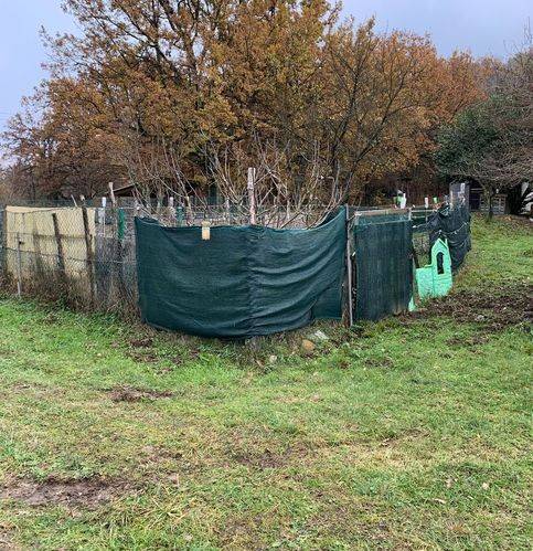 immagine annuncio 11 di 13