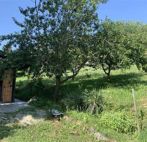 immagine annuncio 2 di 13