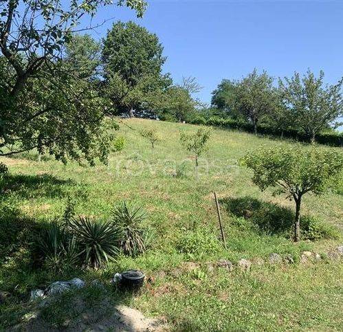 immagine annuncio 8 di 13