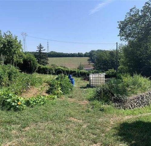 immagine annuncio 10 di 13