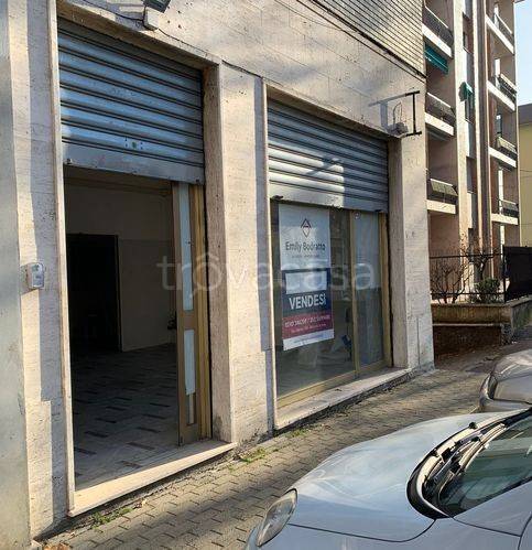 immagine annuncio 2 di 11