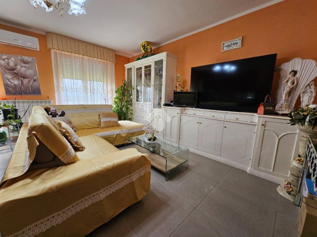 immagine annuncio 1 di 14