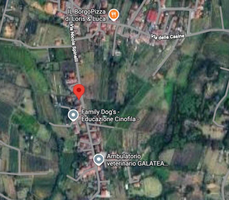 immagine annuncio 8 di 10