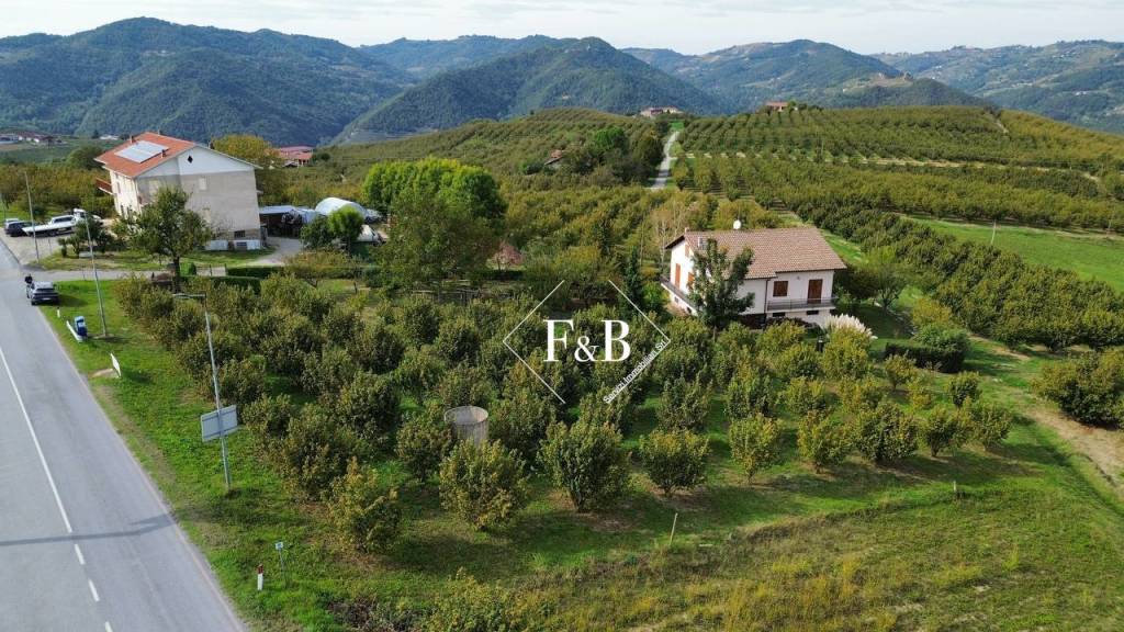 immagine annuncio 2 di 6