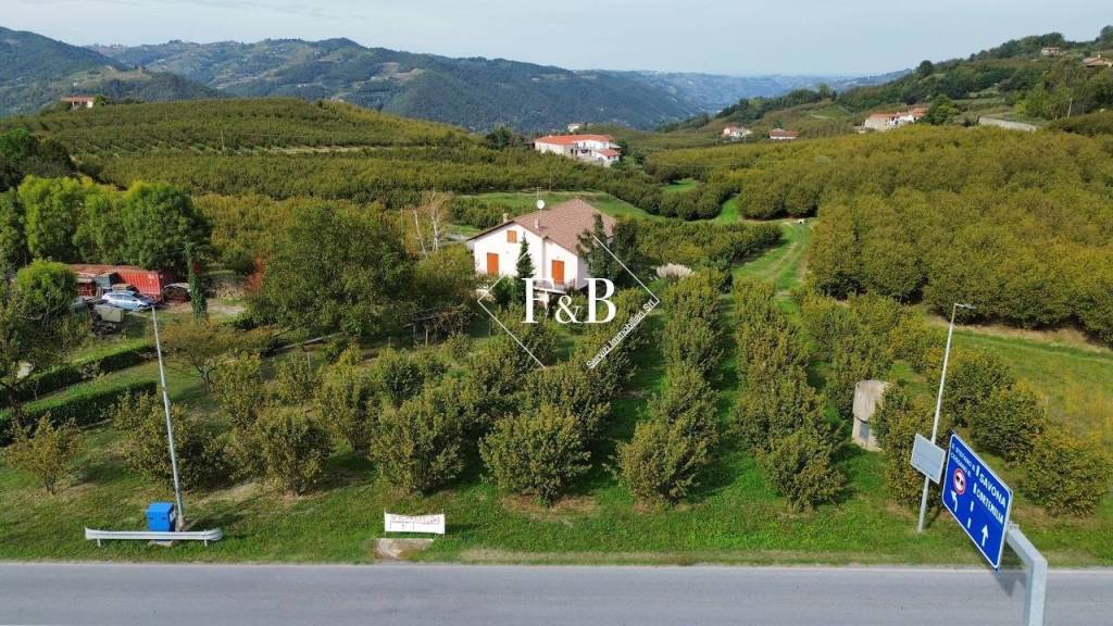 immagine annuncio 3 di 6