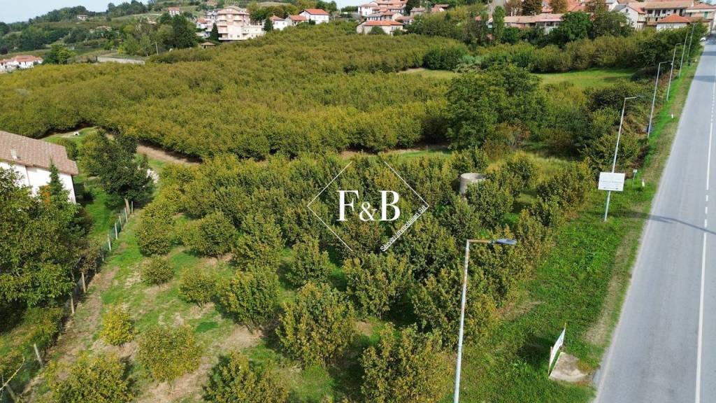 immagine annuncio 4 di 6